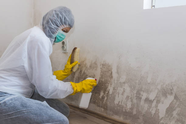 Best HVAC Mold Remediation in Leisure Village, NJ