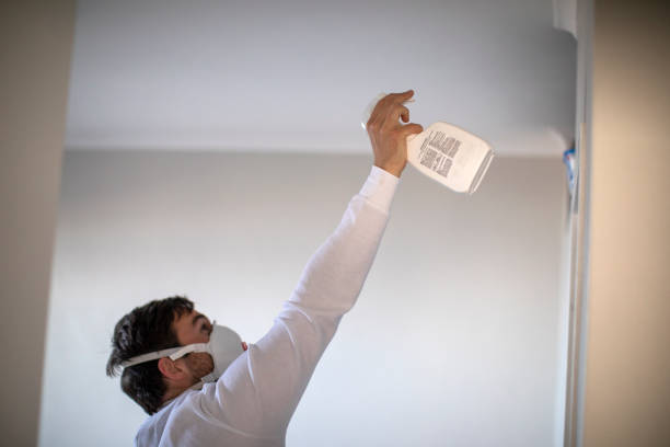 Best DIY Mold Remediation Support Services in Leisure Village, NJ